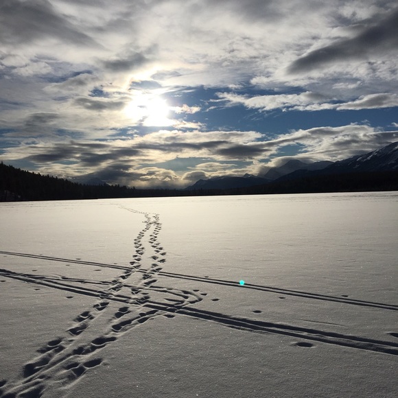 Meet your Posher, Regan - Picture 1 of 1